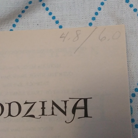 👩🏻‍🦳Rodzina Karen Cushman Orphan Train Chapter Book Homeschool Historical - Picture 6 of 9